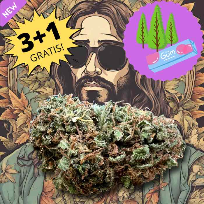 Jesus Kush