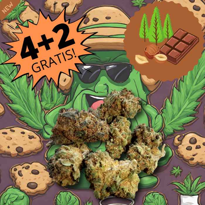 Cookie Scout small buds cannabis