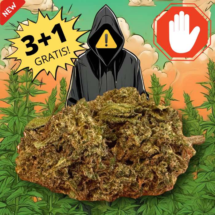 No#Name cannabis BOOST