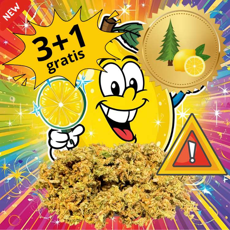 Lemon Sparkley mix Boost